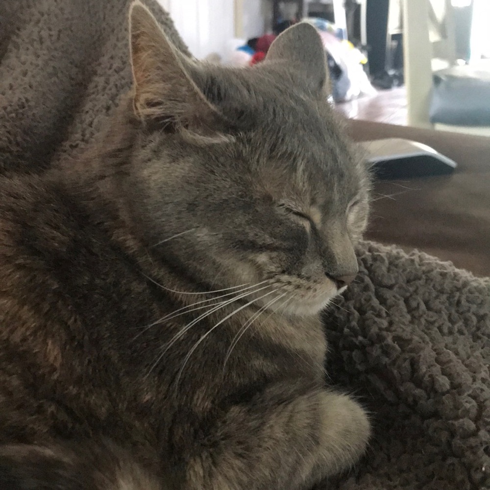 Meet your Posher, Carly